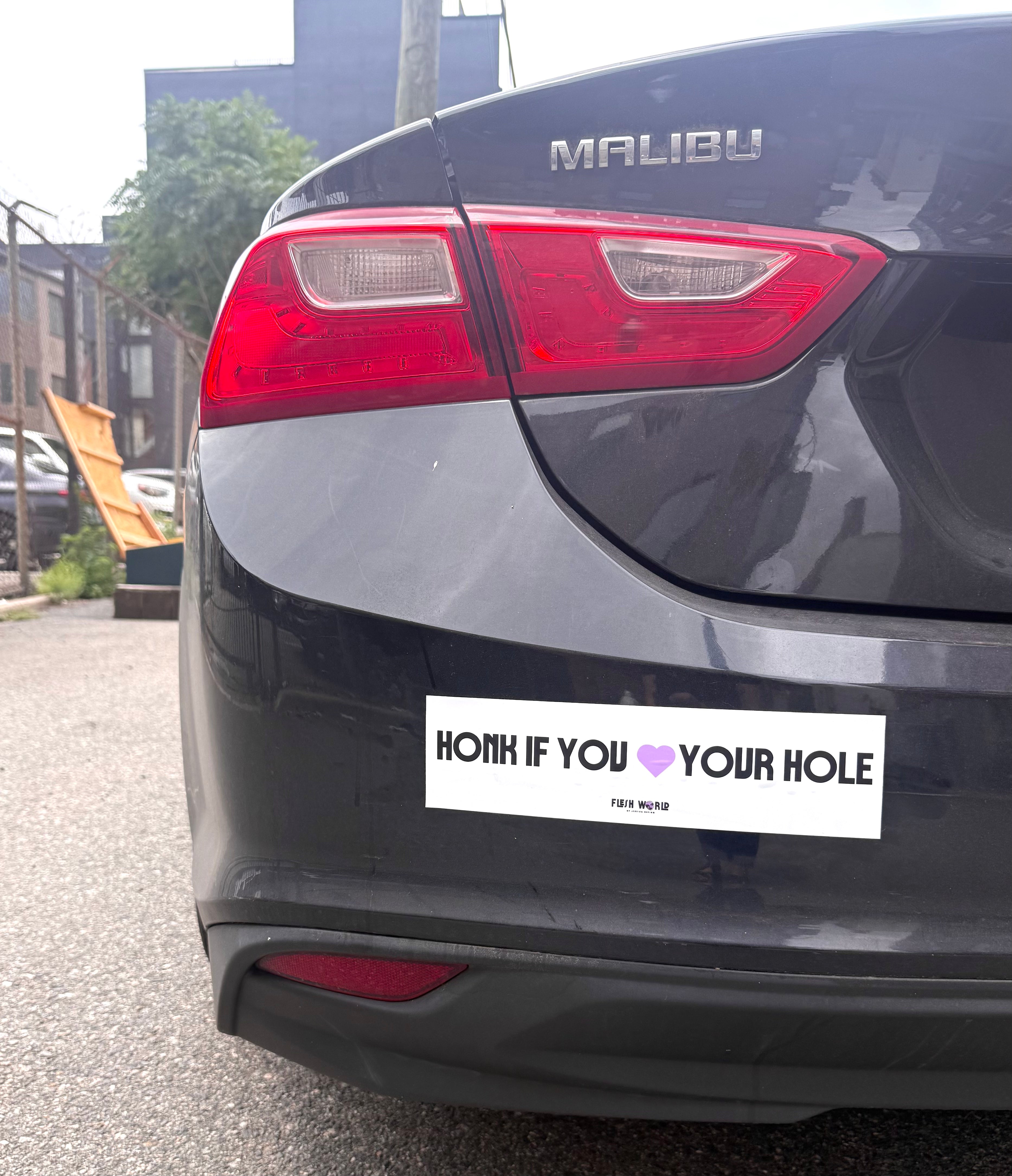 HONK IF YOU <3 YOUR HOLE Bumper Sticker