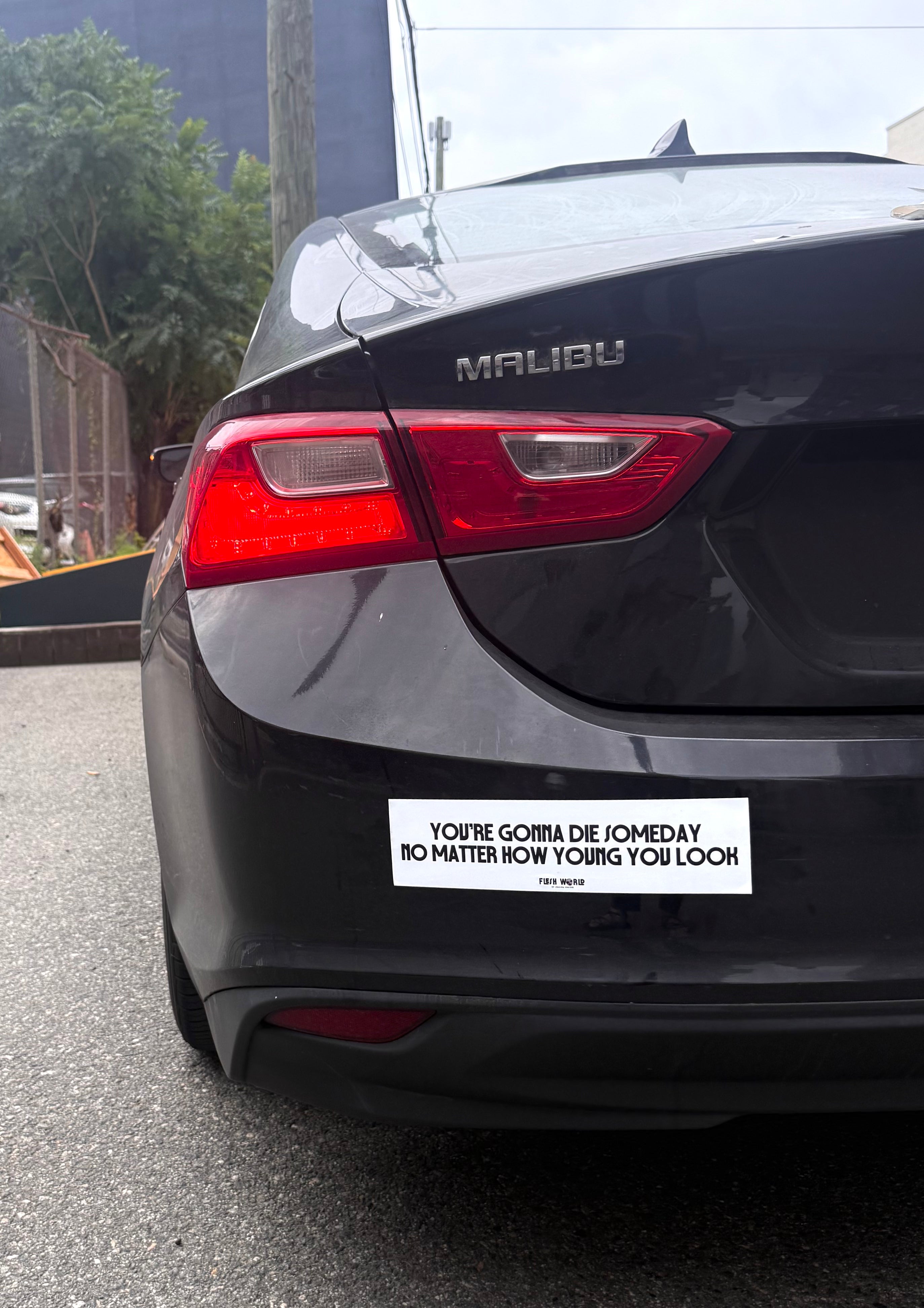 SOLD OUT: YOU'RE GONNA DIE Bumper Sticker