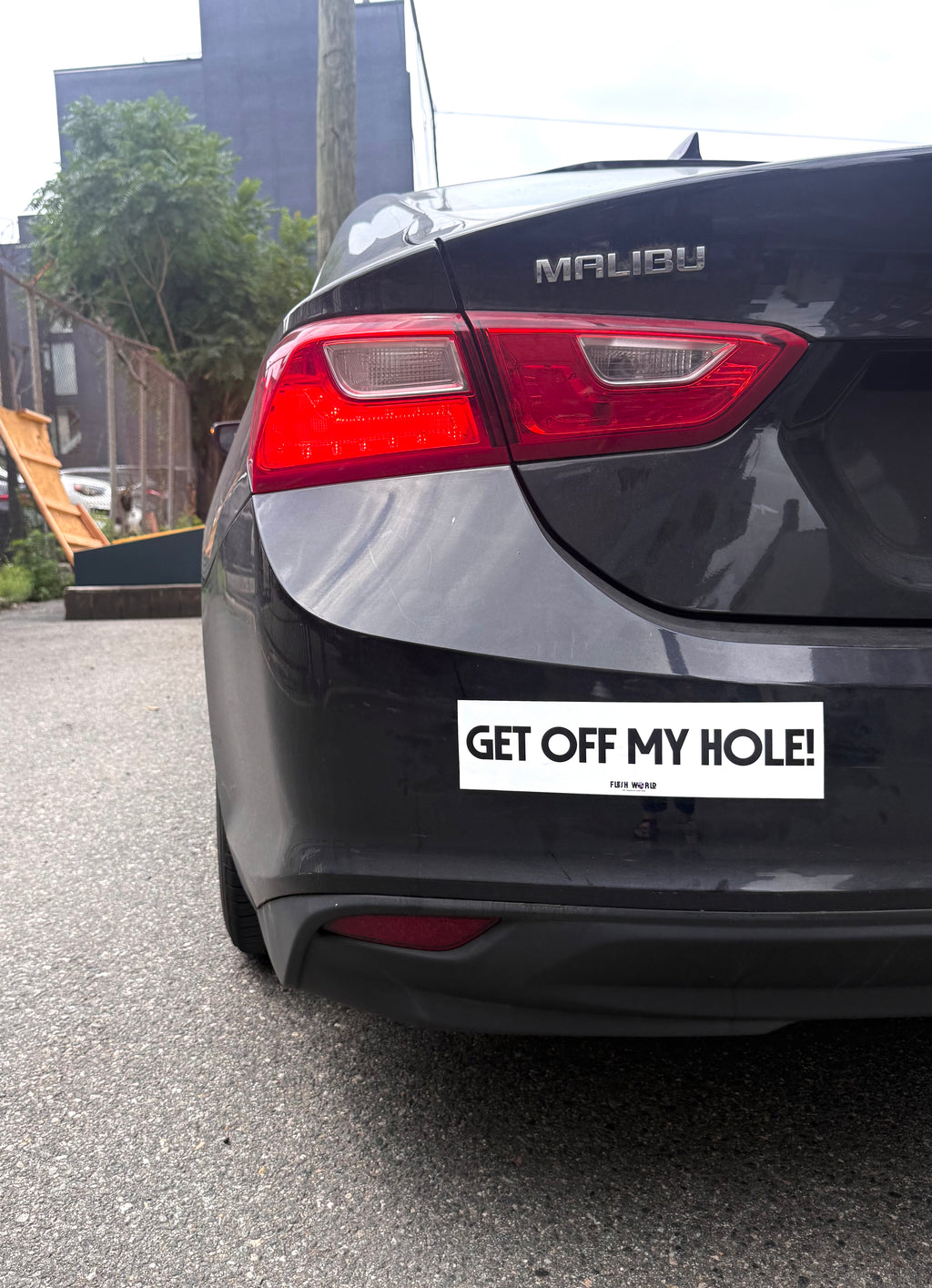 GET OFF MY HOLE! Bumper Sticker